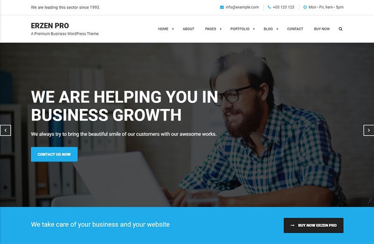 Erzen Pro WordPress Theme