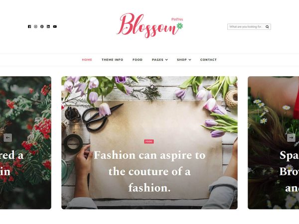 Blossom PinThis Free WordPress Theme