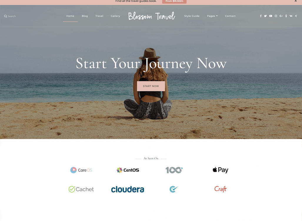 Blossom Travel WordPress Theme